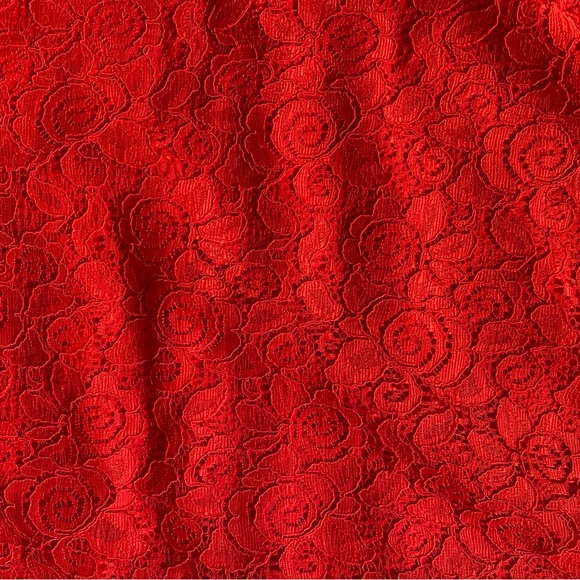 Cynthia Steffe Red-Orange Lace Sheath Dresz - Picture 6 of 9